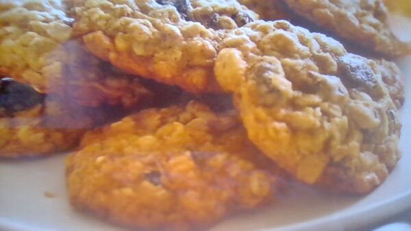 oatmeal raisin cookie